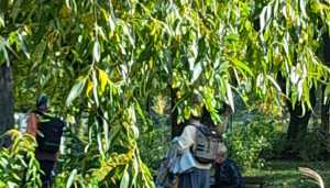 WhatsApp-Image-2021-10-08-at-10.10.38