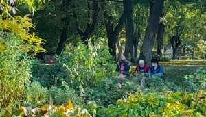 WhatsApp-Image-2021-10-08-at-10.10.39-1