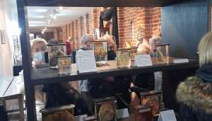 WhatsApp-Image-2021-10-08-at-10.10.47-2