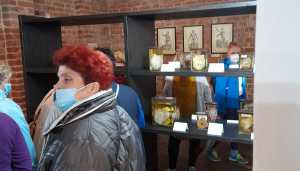 WhatsApp-Image-2021-10-08-at-10.10.48