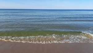 WhatsApp-Image-2021-10-08-at-10.14.27