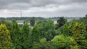 WhatsApp-Image-2021-09-23-at-21.42.57-1