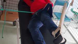 Zdjecie-WhatsApp-2024-04-26-o-12.12.25_684e8412