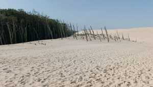 WhatsApp-Image-2024-09-20-at-13.52.53