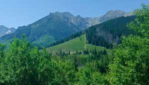 WhatsApp-Image-2025-06-23-at-07.57.33