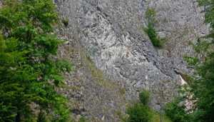 WhatsApp-Image-2025-06-24-at-09.49.30-2