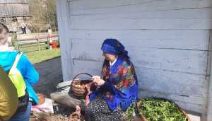 IMG-20250413-WA0013