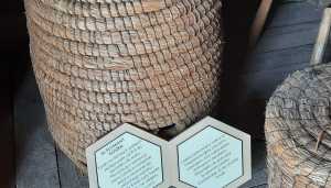 IMG-20250413-WA0027