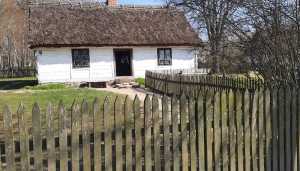 IMG-20250413-WA0031
