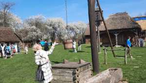 IMG-20250413-WA0033