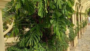 Zdjecie-WhatsApp-2024-08-29-o-14.49.25_5356d8a9