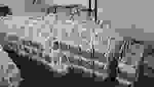 433865708_785580090299094_8795273660485297467_n