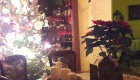 20161222_003015