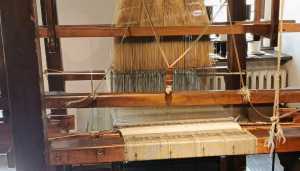 WhatsApp-Image-2024-08-08-at-17.09.28-5